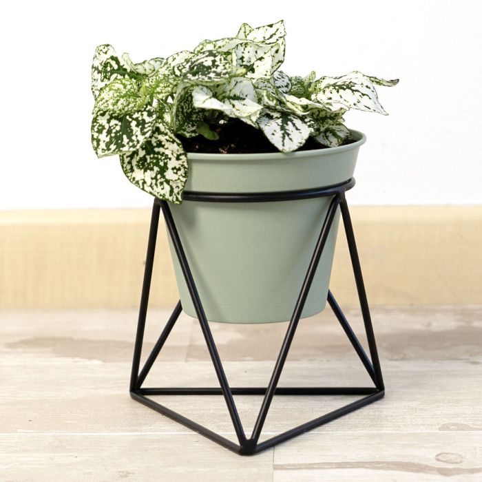 Pot de fleurs avec support Vinthera Moa Vert Métal 14,5 x 12,5 x 15 cm (12 Unités) 6