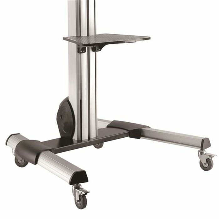 Trolley Startech STNDMTV70 1