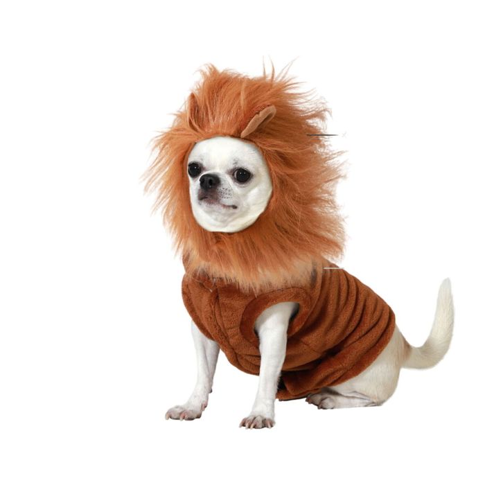 déguisement pour chien Taille S Lion 0 déguisement pour chien Taille S Lion 0