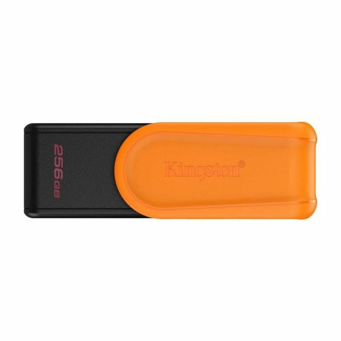 Carte Mémoire Micro SD avec Adaptateur Kingston DTXS/256GB Noir 256 GB 6