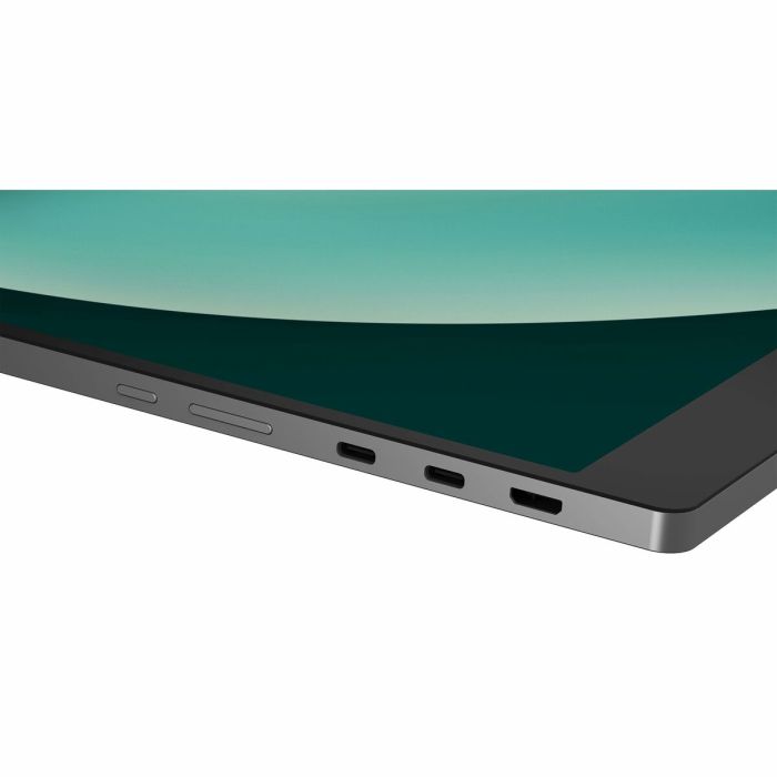 Moniteur portable LG 17MT70 WQXGA 17" 13