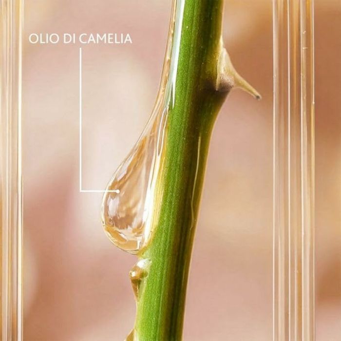 Sérum visage Institut Esthederm EXCELLAGE 30 ml 3 Sérum visage Institut Esthederm EXCELLAGE 30 ml 3