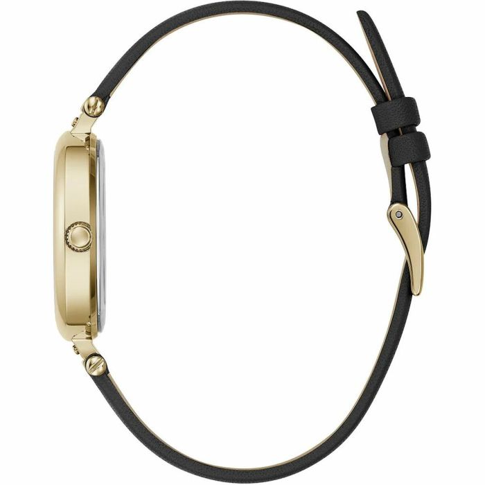 Montre Femme Furla WW00018009L2 (Ø 38 mm) 2