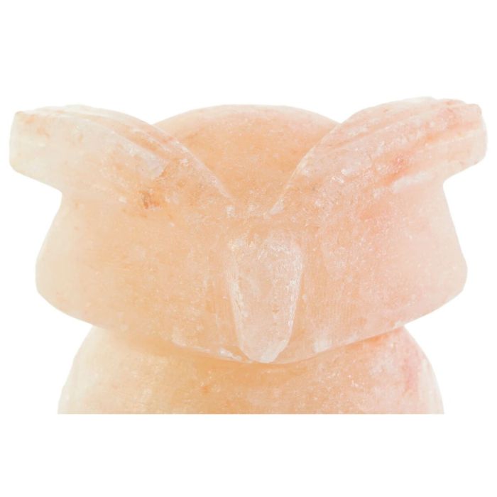 Lampe de bureau DKD Home Decor Rose Sel Acacia 15 W 220 V 14 x 14 x 18 cm 4