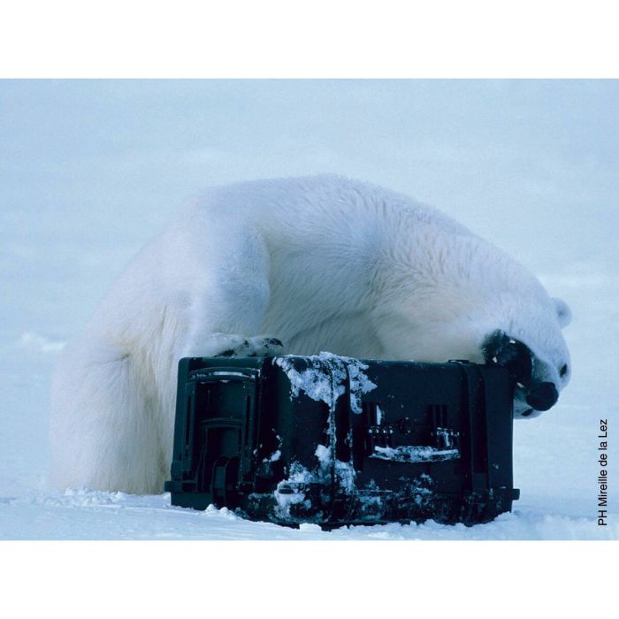 Valise étanche GT Line EXPLORER 7726 Mousse 83,6 x 64,1 x 30,4 cm 1 Valise étanche GT Line EXPLORER 7726 Mousse 83,6 x 64,1 x 30,4 cm 1