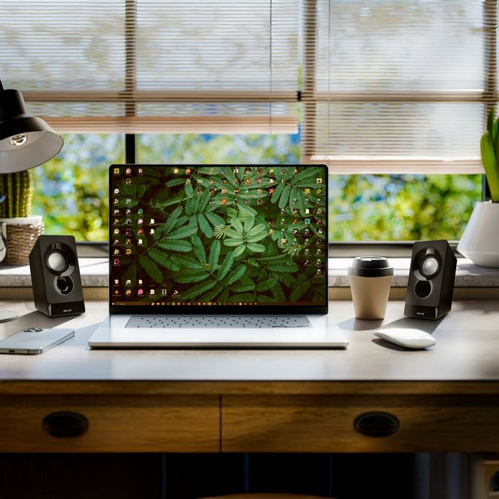 Haut-parleurs NGS SB210 Noir 12 W 10