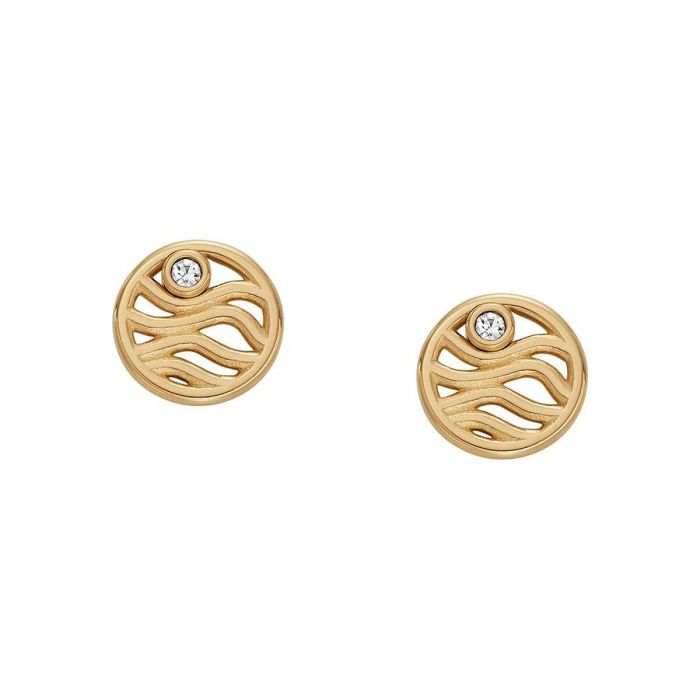Boucles d´oreilles Femme Skagen SKJ1761710 Métal 1