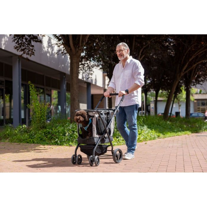 Panier à Courses Carlett CUBE P PINE Vert 5 Panier à Courses Carlett CUBE P PINE Vert 5