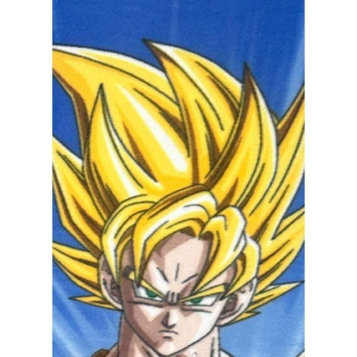 Couverture Dragon Ball Multicouleur animaux 2
