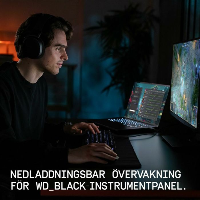 Disque dur Western Digital WDS500G4X0E 500 GB SSD 14