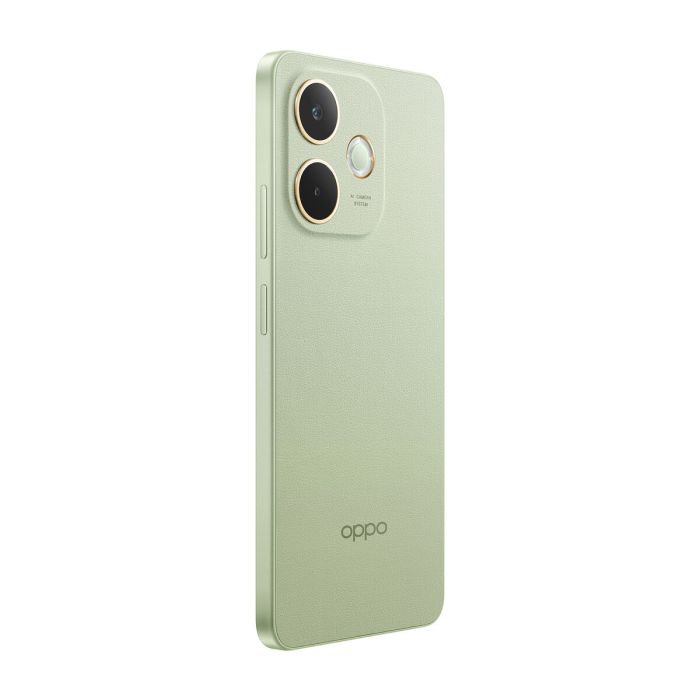 Smartphone Oppo CPH2695 6,67" Octa Core 8 GB RAM 256 GB Vert 21