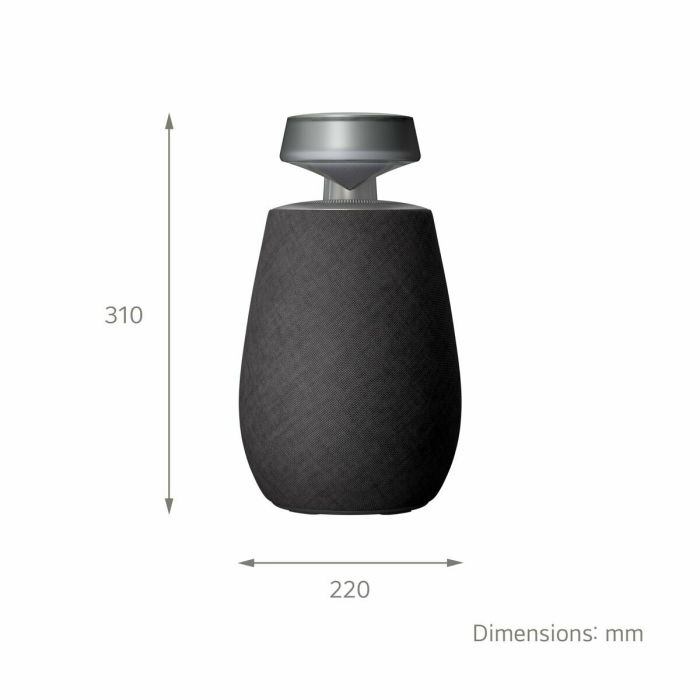 Haut-parleurs bluetooth portables LG XG2TBK Noir 5 W 17