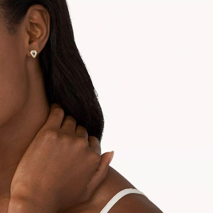 Boucles d´oreilles Femme Skagen SKJ1677998 1