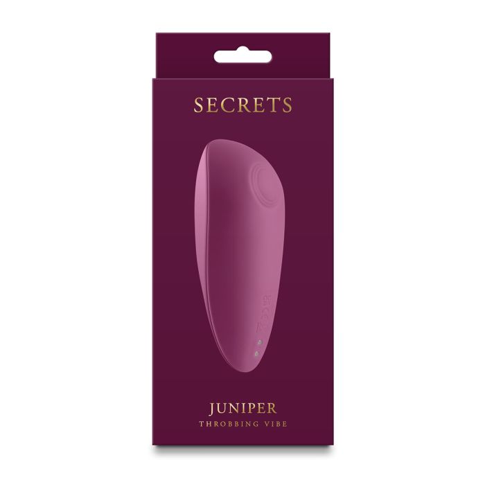 Masseur érotique NS Novelties Secrets Rouge 1