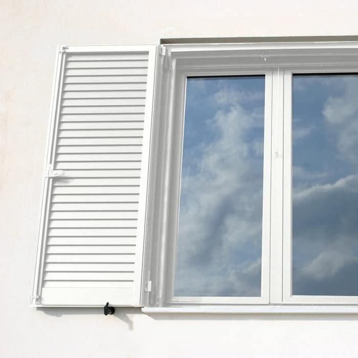 RIPOLIN Peinture Bois Satin Haute Protection 10 ans qui Protege et Magnifie vos Bois - Blanc 1