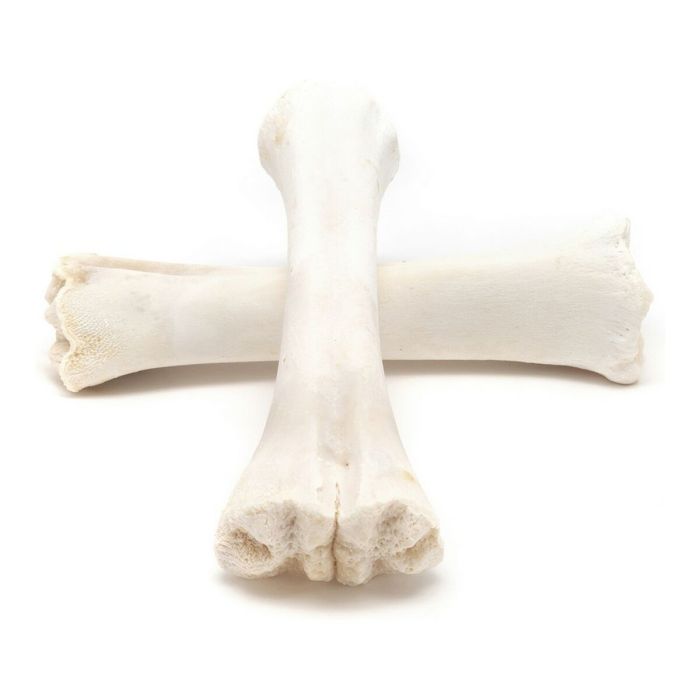 Snack pour chiens Gloria Veau Os Calcium 20 Unités 3 Snack pour chiens Gloria Veau Os Calcium 20 Unités 3