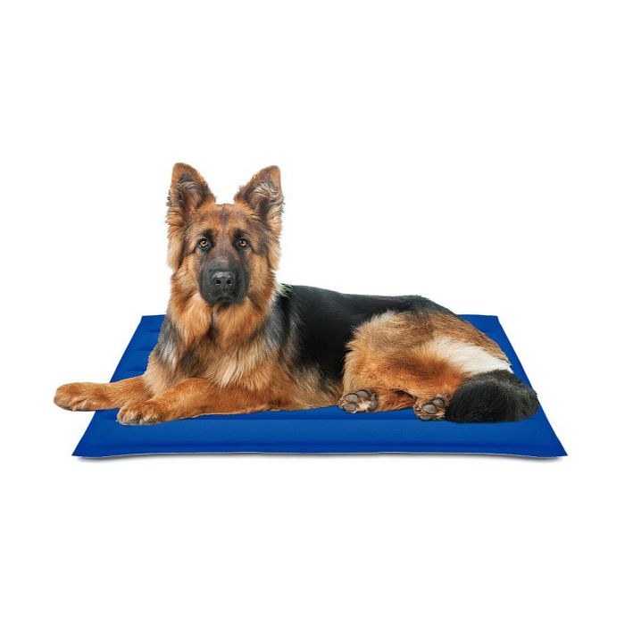 Tapis pour chien Nayeco Bleu Gel réfrigérant 90 x 105 cm 0 Tapis pour chien Nayeco Bleu Gel réfrigérant 90 x 105 cm 0