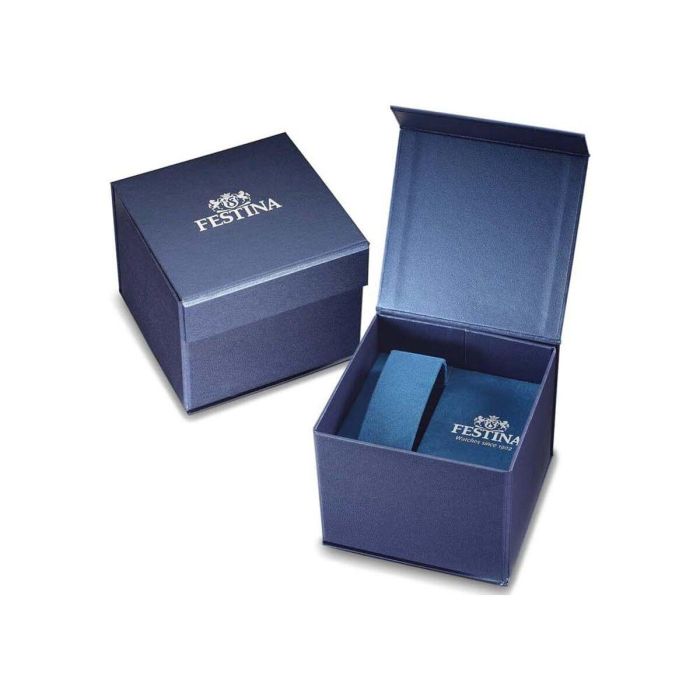 Montre Homme Festina F20743/1 Argenté 2 Montre Homme Festina F20743/1 Argenté 2