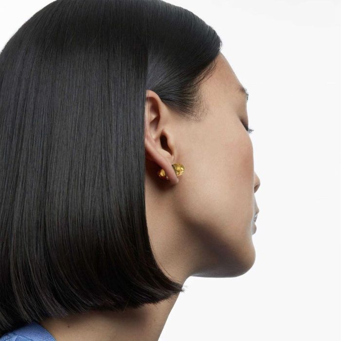 Boucles d´oreilles Femme Swarovski 5613552 2,5 cm 1 Unité 1