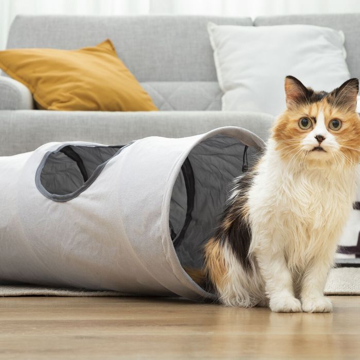 Tunnel de Jeu Pliable pour Animaux de Compagnie Funnyl InnovaGoods 8