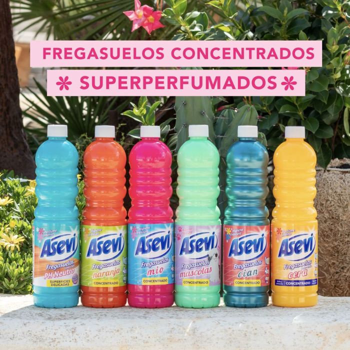 Nettoyant de Sols Asevi 1 L 1