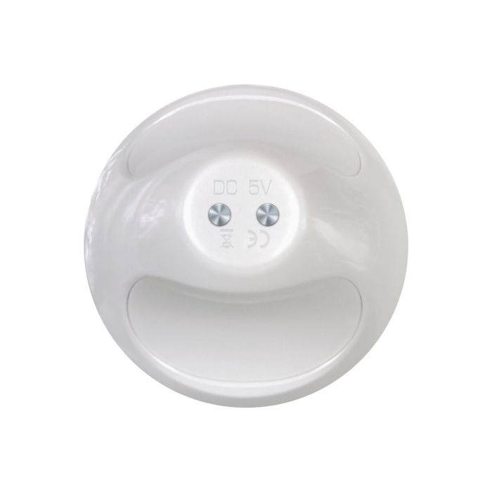 Vibromasseur à boules Evolved Tiny Dancer Violet 2