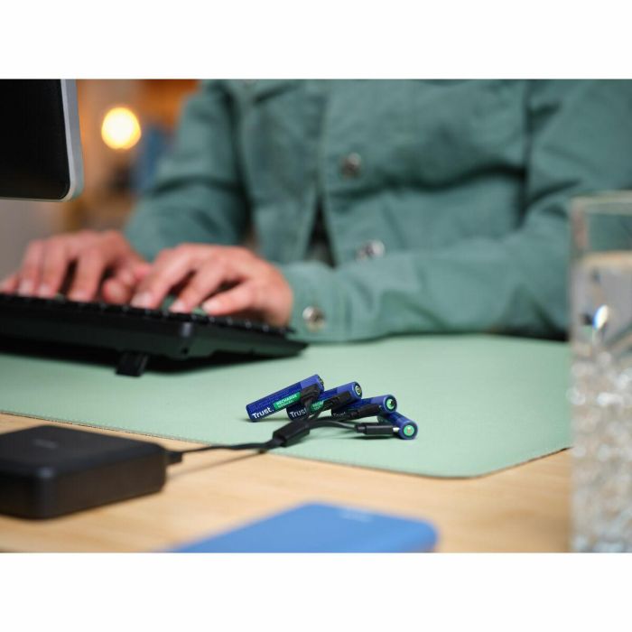 Batteries Trust 25671 AAA 4