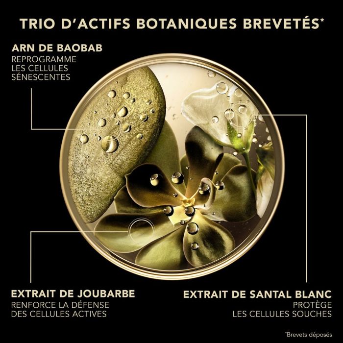 Crème visage Lierac PREMIUM LIERAC 50 ml 1