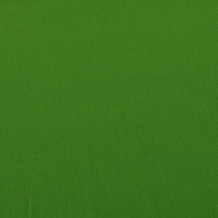 Ensemble de Papeterie Canson Standard Vert Rose 10 Unités 1