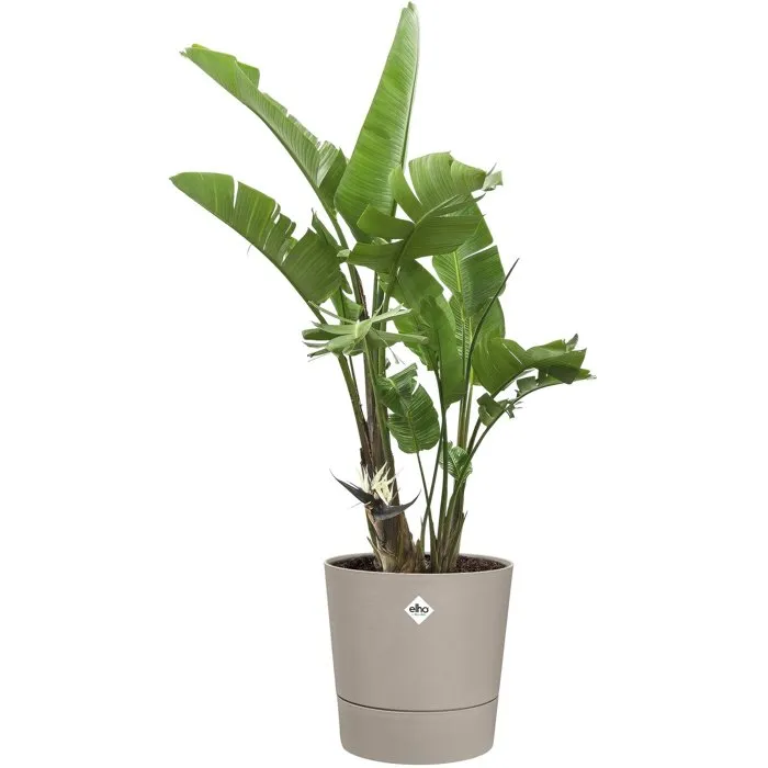 ELHO Pot de fleur Foss Rond 35 - 21 litres, extérieur, en plastique recyclé - Beige - Dimensions : 35 x 34.5 x 34 cm