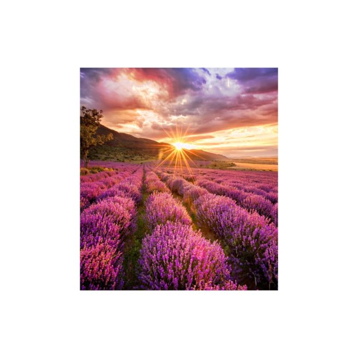 Moniteur Videowall Samsung LH025IFHBAS/EN 0 Moniteur Videowall Samsung LH025IFHBAS/EN 0