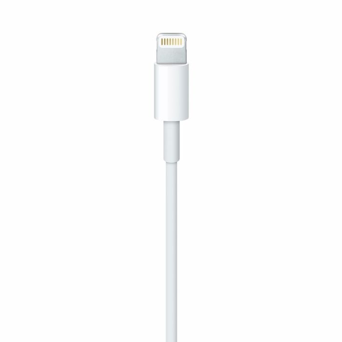 Câble USB vers Lightning Apple Blanc 1 m 10 Câble USB vers Lightning Apple Blanc 1 m 10