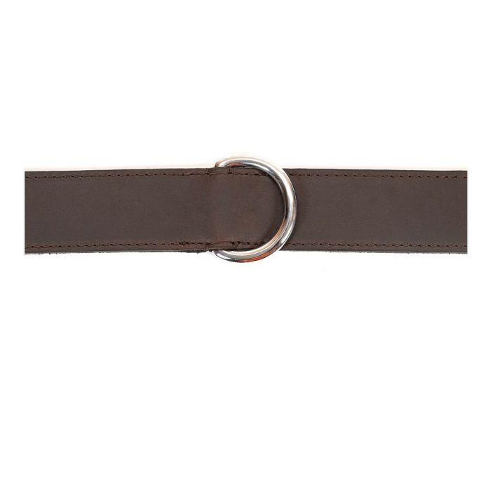 Collier pour Chien Gloria Marron 65 cm (65 x 4 cm) 4 Collier pour Chien Gloria Marron 65 cm (65 x 4 cm) 4