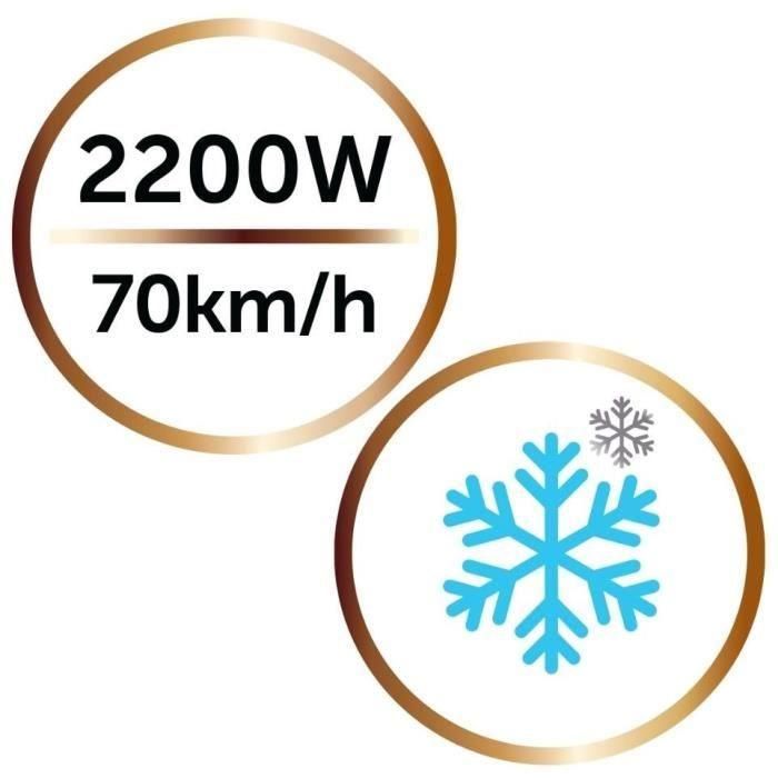 Seche-cheveux Remington D6098 - 2200W Ionique - Brillance Cheveux Naturels et Colorés 1