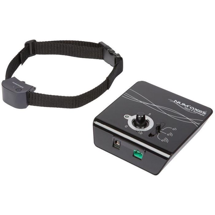 Set complet anti-fugue - NUM'AXES - CANIFUGUE - Small - Noir