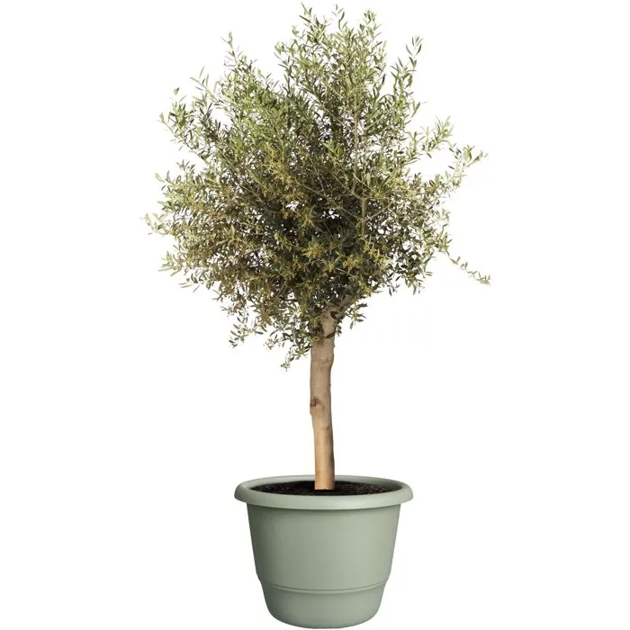 ELHO Pot de Fleur Amiga Rond 55 Vert pour Extérieur, 55 L, Ø 55 x H 51 cm, 100% Recyclé, Design Élégant pour Plantes