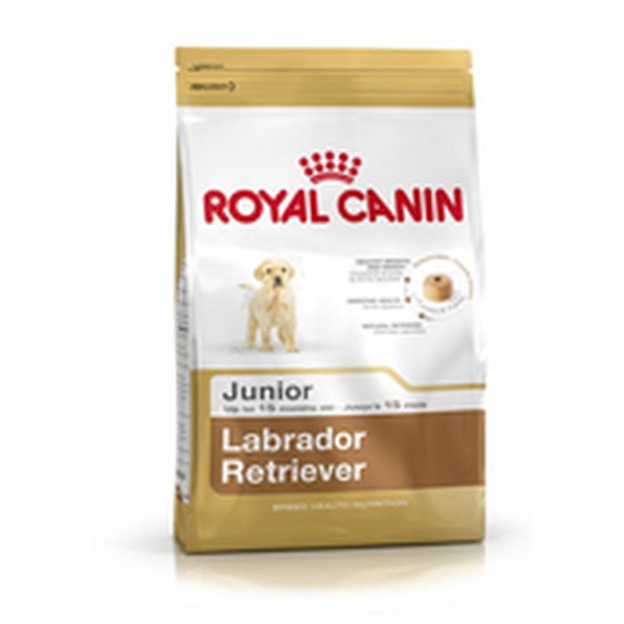 Nourriture Royal Canin Labrador Retriever Junior Petit/Junior Poulet Riz Maïs Oiseaux 12 kg 1