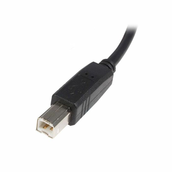 Câble USB A vers USB B Startech USB2HAB1M Noir 2