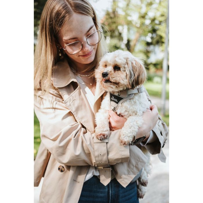 Harnais pour Chien Hunter DIVO UP Beige M 3