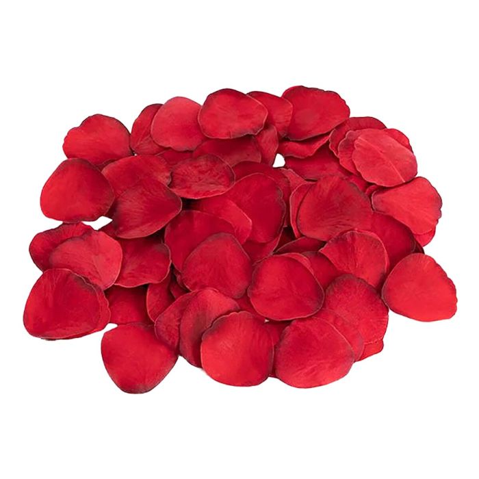 Jeu Érotique Dream Toys 6