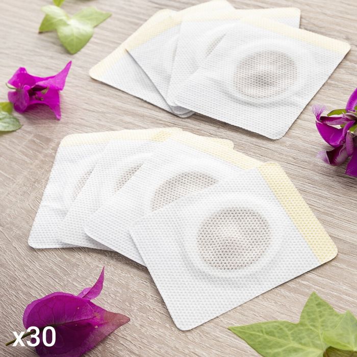 Set de Patchs Magnétiques Amincissants aux Extraits de Plantes Patmic InnovaGoods 30 Unités 9