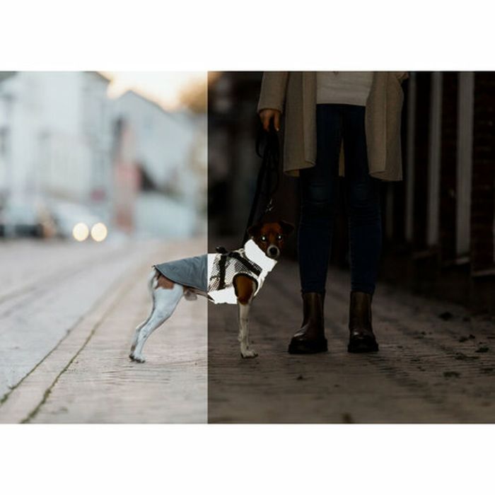 Manteau pour Chien Trixie Gris XS 1