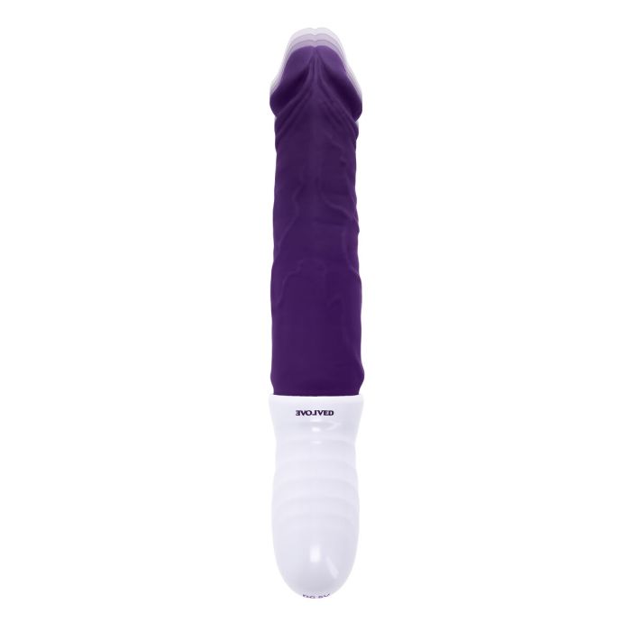 Vibromasseur Evolved Violet 15 Vibromasseur Evolved Violet 15