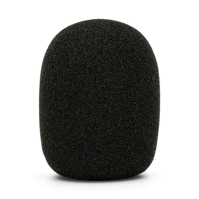 Carte Micro SD Rode WS2