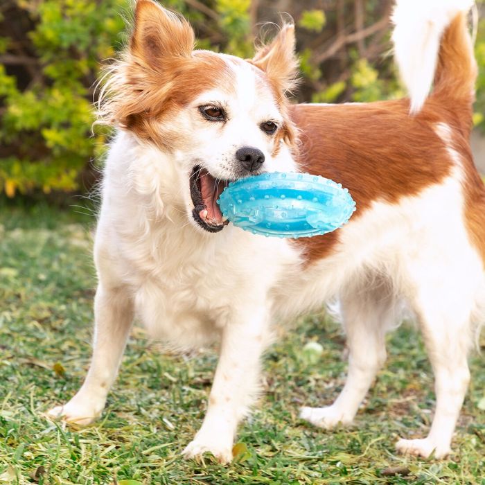 Jouet à Mordre 2 en 1 Congelable pour Animaux de Compagnie Glubiz InnovaGoods 9