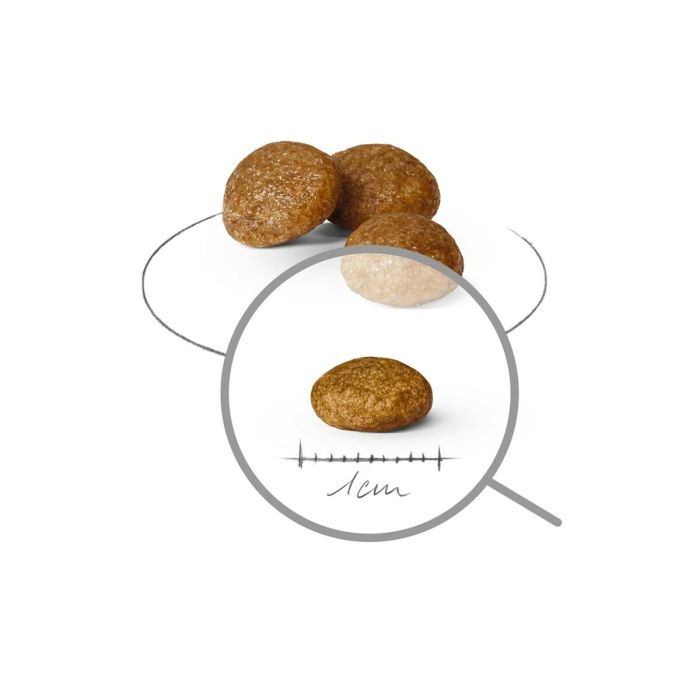 Nourriture Royal Canin Oiseaux 1,5 Kg 1