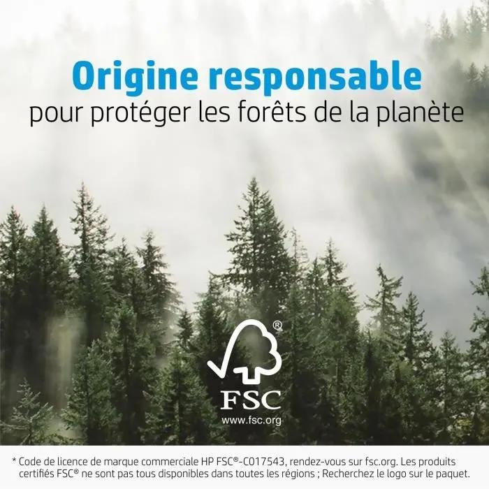 HP - Papier photo satiné avancé - 250 g/m², 4 x 12 pouces (101 x 305 mm) - 10 feuilles 3