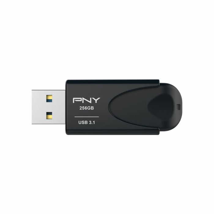 Mémoire RAM PNY Attache 4 Noir 256 GB 22