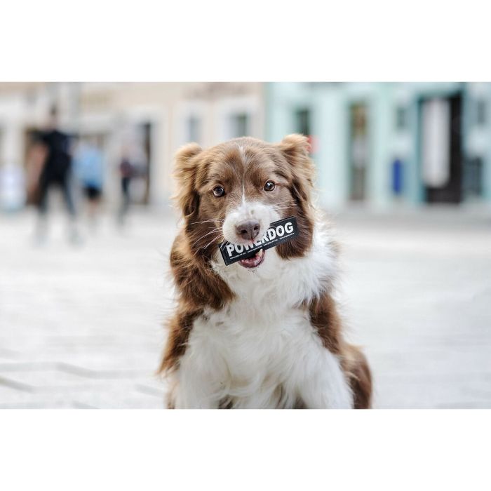 Étiquettes pour harnais Julius K9 DON'T TOUCH S Blanc Noir (2 Unités) 1 Étiquettes pour harnais Julius K9 DON'T TOUCH S Blanc Noir (2 Unités) 1