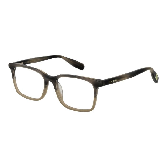 Monture de Lunettes Homme Ted Baker TBB973 48960